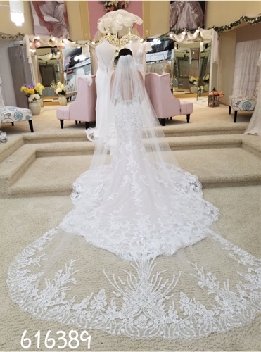 White Rose Bridal Photo Shoot 616379